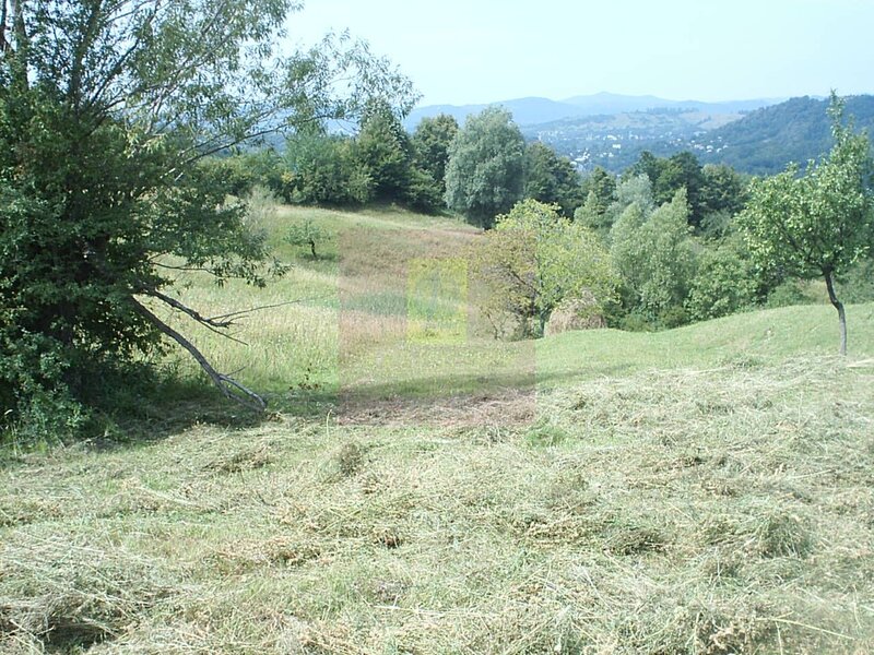 Teren extravilan de vanzare in Telega
