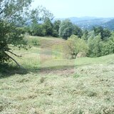 Teren extravilan de vanzare in Telega